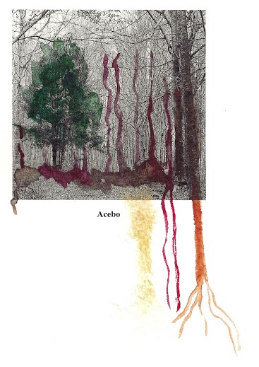 Ilustración del libro Galerías